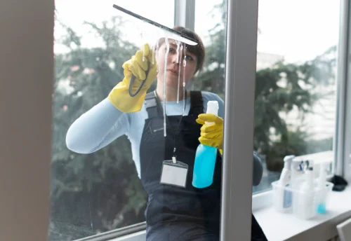 Nettoyage de vitres intérieures et extérieures à Eyjeaux